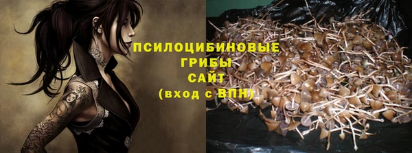 гидра Алексин