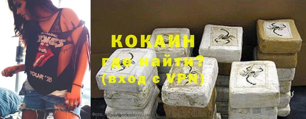 гидра Алексин