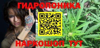кокс Нальчик