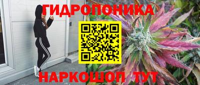кокс Нальчик