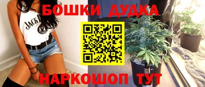 кокс Нальчик