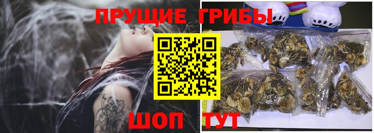 Псилоцибиновые грибы GOLDEN TEACHER Ярцево
